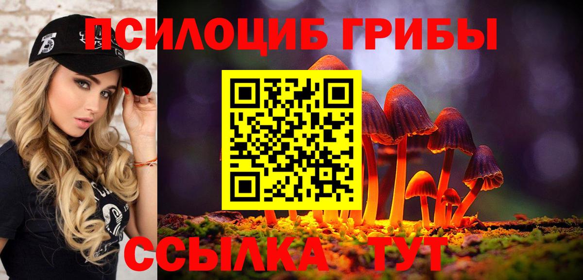 Псилоцибиновые грибы GOLDEN TEACHER  Вход с VPN  дарнет шоп  Городец 